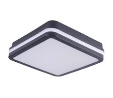 33343 - LED Vonkajšie svietidlo BENO LED/24W/230V 4000K antracit IP54