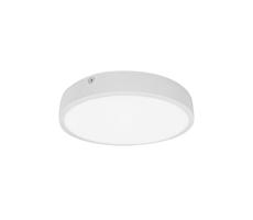 61003580 - LED Kúpeľňové stropné svietidlo EGON LED/30W/230V IP44 3000K