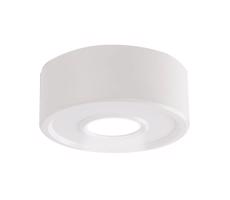 -  7204 - LED Stropné svietidlo ENA IL LED/10W/230V 3000K CRI 90 biela