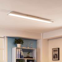 Arcchio Enora LED panel, 119,5 cm, 40 W