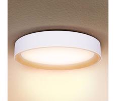 Brilagi Brilagi -LED Stmievateľné svietidlo LARIOS LED/48W/230V 3000-6500K ø 39 cm biela+DO