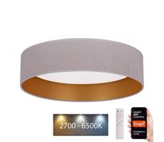 BRILAGI Brilagi - LED Stmievateľné svietidlo VELVET SMART LED/24W/230V Wi-Fi Tuya + DO