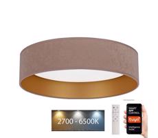 BRILAGI Brilagi - LED Stmievateľné svietidlo VELVET SMART LED/24W/230V Wi-Fi Tuya + DO