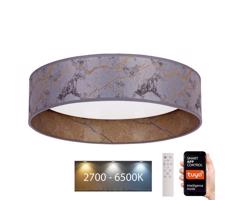 Brilagi Brilagi - LED Stmievateľné svietidlo VELVET SMART LED/24W/230V Wi-Fi Tuya + DO