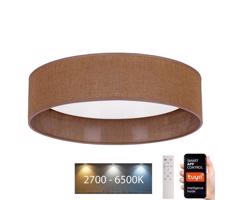 BRILAGI Brilagi - LED Stmievateľné svietidlo VELVET SMART LED/24W/230V Wi-Fi Tuya + DO