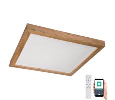 Brilagi Brilagi-LED Stmievateľné svietidlo WOODY FRAME LED/50W/230V dub 60x60 cm IP44 + DO