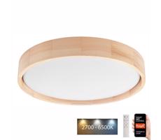 BRILAGI Brilagi - LED Stropné svietidlo MANAROLA SMART LED/24W/230V + DO Tuya