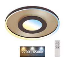 Briloner 3640017 - LED Stmievateľné stropné svietidlo LED/25W/230V 2700-6500K + DO