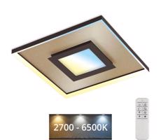 Briloner 3641-017 - LED Stmievateľné svietidlo FRAME LED/30W/230V 2700-6500K + DO