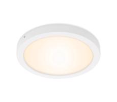 Briloner Briloner 7141-016 - LED Stropné svietidlo FIRE LED/21W/230V