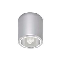 DOWNLIGHT silver M 4868