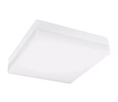 Greenlux LED Kúpeľňové stropné svietidlo LED/24W/230V 3000/4000/6000K 28x28 cm IP44