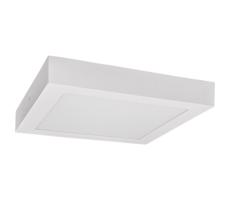 Greenlux LED Stropné svietidlo FENIX LED/12W/230V 2800K 17 cm