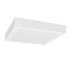 Greenlux LED Stropné svietidlo FENIX LED/18W/230V 3800K 22,5 cm snehovo biela