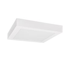 Greenlux LED Stropné svietidlo FENIX LED/24W/230V 2900/3900/5800K 29,5x29,5 cm biela