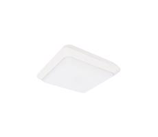 Greenlux LED Vonkajšie stropné svietidlo TIPO LED/24W/230V IP66