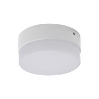 Ideus ROBIN LED C IP20 12W, 1080 LM, 4000K