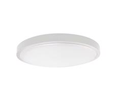 LED Kúpeľňové stropné svietidlo LED/24W/230V IP44 6500K pr. 29 cm biela