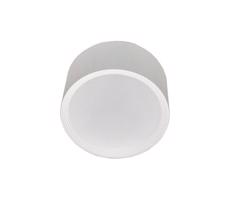 LED Kúpeľňové stropné svietidlo PERCI LED/20W/230V IP40 4000K biela