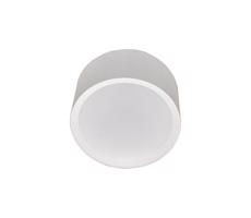 LED Kúpeľňové stropné svietidlo PERCI LED/30W/230V IP40 4000K biela