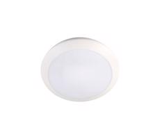 LED Kúpeľňové svietidlo so senzorom LED/20W/230V 3000/4000/6000K IP66