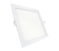 LED Podhľadové svietidlo QTEC LED/24W/230V 6500K