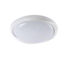 LED Stmievateľné stropné svietidlo LED/60W/230V 3000-6500K 49,2 cm biela + DO