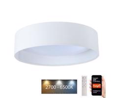 LED Stmievateľné svietidlo SMART GALAXY LED/24W/230V pr. 45 cm Wi-Fi Tuya + DO