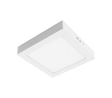 LED Stropné svietidlo GERRY LED/24W/230V 3000K