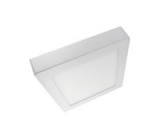 LED Stropné svietidlo LED/12W/230V 2700K