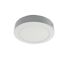 LED Stropné svietidlo LED/12W/230V 3000K