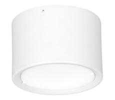 LED Stropné svietidlo LED/16W/230V biela pr. 12 cm