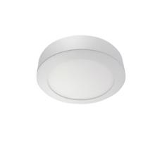 LED Stropné svietidlo LED/24W/230V 2700K