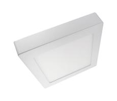 LED Stropné svietidlo LED/24W/230V 2700K