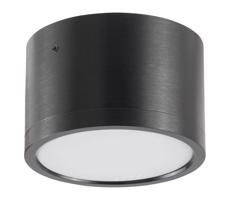 LED Stropné svietidlo MIRELLA 1xGX53/6W/230V čierna