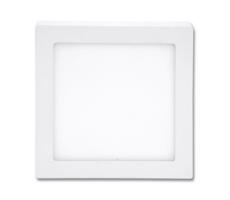 LED Stropné svietidlo RAFA LED/12W/230V 2700K