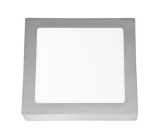 LED Stropné svietidlo RAFA LED/18W/230V 4100K