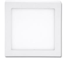 LED Stropné svietidlo RAFA LED/25W/230V 2700K