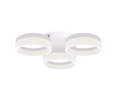 LED Stropné svietidlo RING 3xLED/12W/230V biele