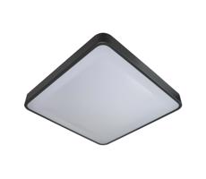 LED Stropné svietidlo so senzorom WILTON LED/24W/230V antracit