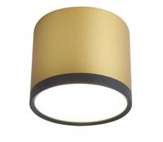 LED Stropné svietidlo TUBA LED/9W/230V