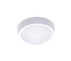 LED vonkajšie osvetlenie, 30W, 2200L, 4000K, IP65, 32cm