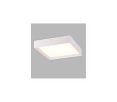 LED2 LED2 - LED Stropné svietidlo MILO LED/30W/230V biela 3000/4000K