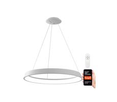 Neo  NEO 07079L-80 - LED Stmievateľný luster na lanku LIMITADO LED/48W/230V 80 cm