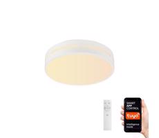 Neo  NEO 07153-W40 - LED Stmievateľné svietidlo PERFECTO 24W/230V Wi-Fi Tuya + DO