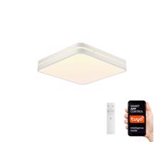 Neo  NEO 07155-W30 - LED Stmievateľné svietidlo PERFECTO 24W/230V Wi-Fi Tuya + DO