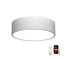 Neo  NEO 07204L - LED Stmievateľné svietidlo RONDATE LED/18W/230V biela Tuya + DO