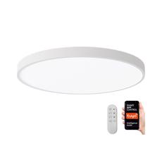 Neo  NEO 07253L -LED Stmievateľné svietidlo SEMPLICI 60W/230V Wi-Fi Tuya bílá+ DO