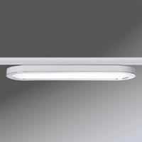 Paulmann URail Board LED panel v bielej