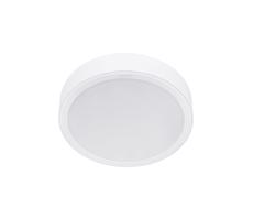 Philips Philips - LED Stropné svietidlo MESON LED/23,5W/230V 4000K